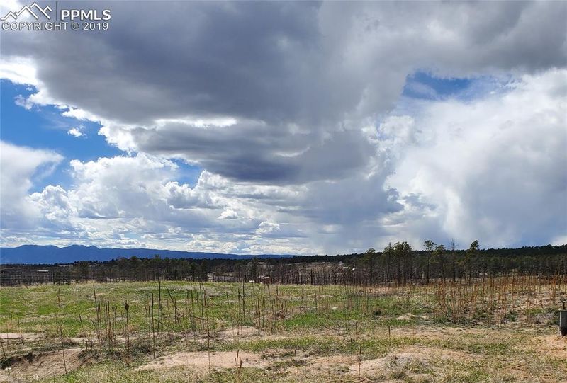 14020 Black Forest Rd, Colorado Springs, CO 80908