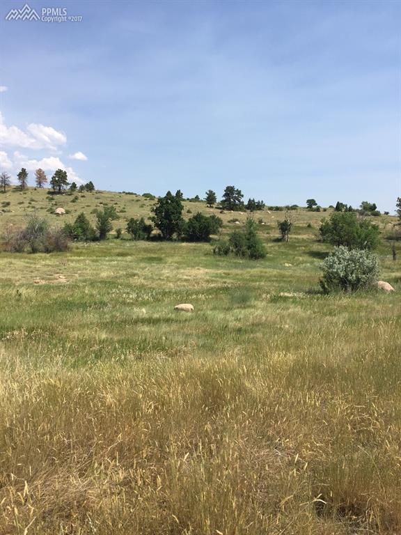 1406 W Cheyenne Blvd, Colorado Springs, CO 80906