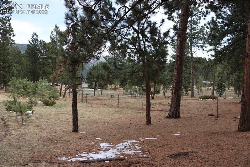 1409 Old Wagon Rd, Woodland Park, CO 80863