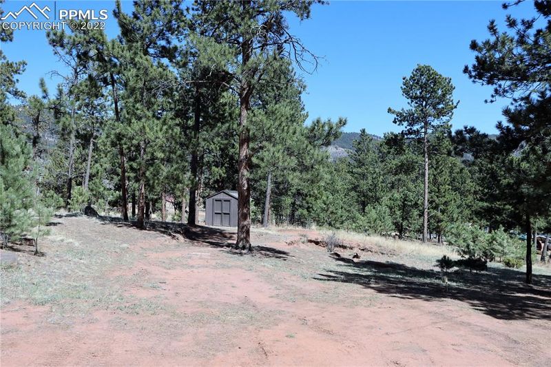 1409 Old Wagon Rd, Woodland Park, CO 80863