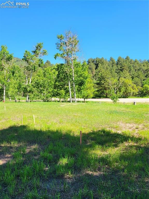141 Virginia Ave, Palmer Lake, CO 80133