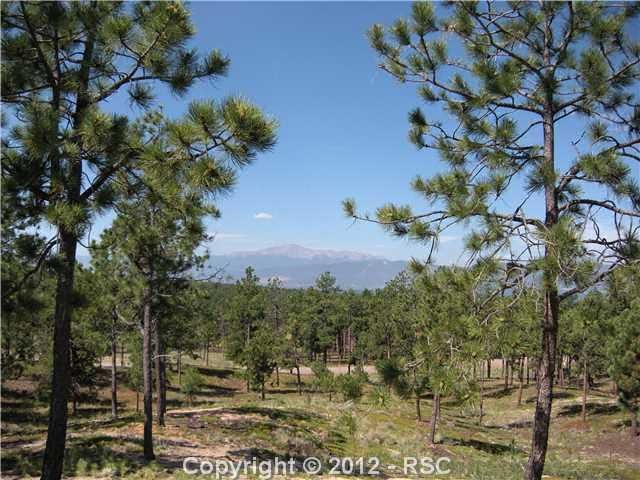 14155 Marble Arch Ct, Colorado Springs, CO 80908