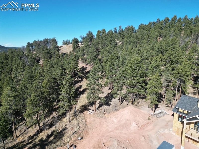 1420 Red Haven Pl, Woodland Park, CO 80863