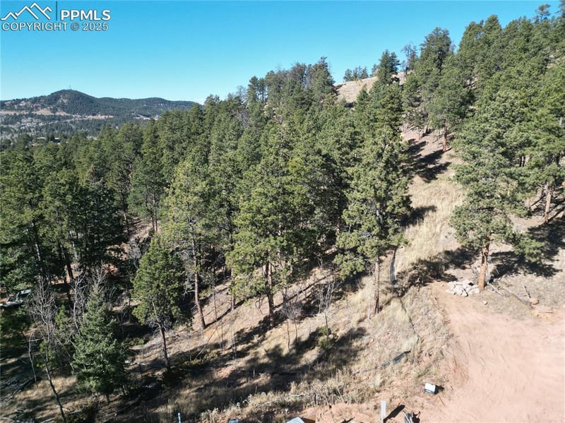 1420 Red Haven Pl, Woodland Park, CO 80863