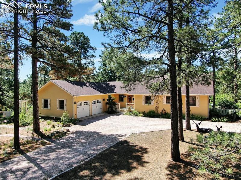 14250 Chalet Ln, Elbert, CO 80106