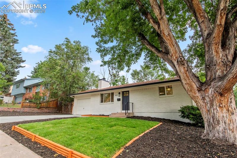1429 Laurette Dr, Colorado Springs, CO 80909