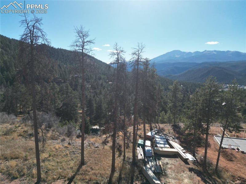 1430 Red Haven Pl, Woodland Park, CO 80863