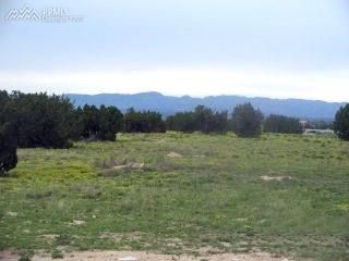 1438 Top Notch Trl, Penrose, CO 81240