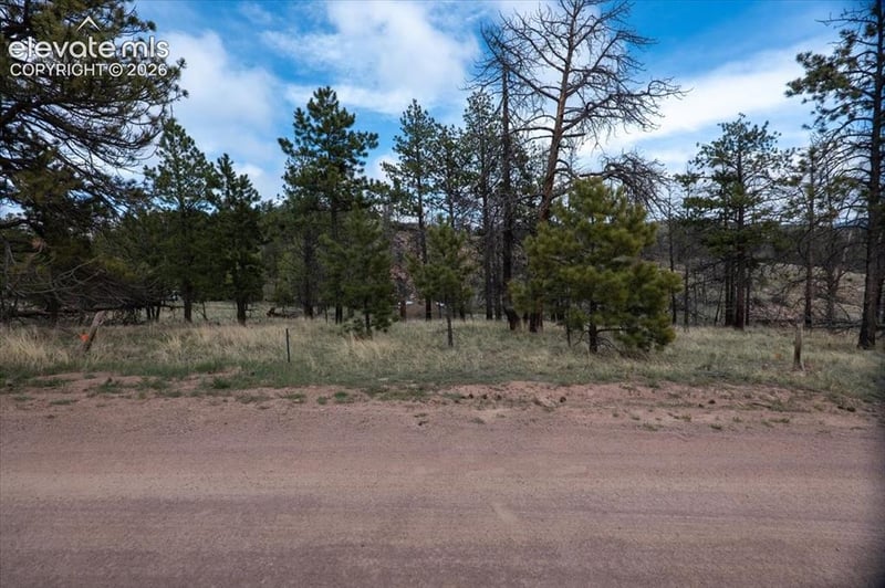 144 Chapparal Trl, Florissant, CO 80816