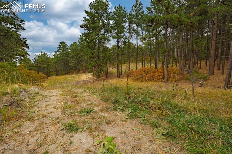 14420 Perry Park Rd, Larkspur, CO 80118