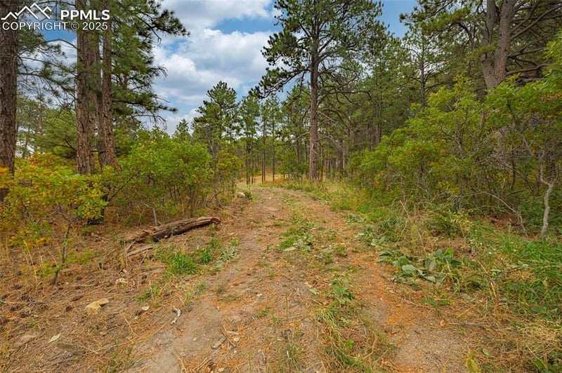 14420 Perry Park Rd, Larkspur, CO 80118