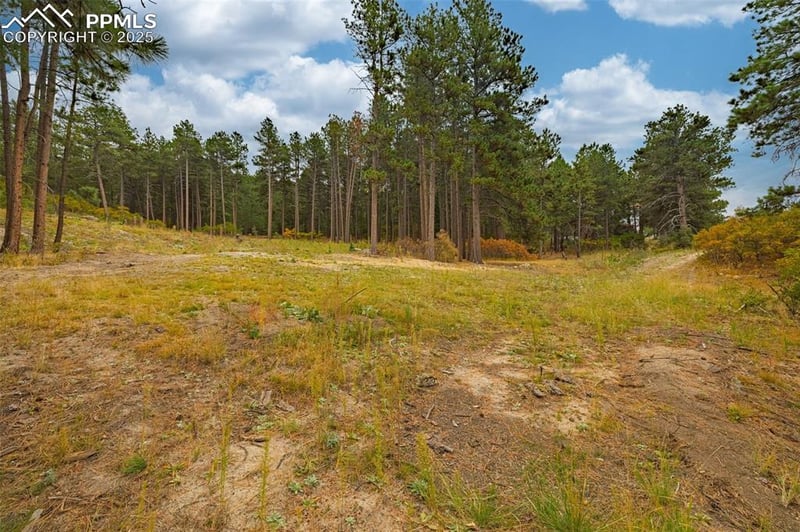 14420 Perry Park Rd, Larkspur, CO 80118