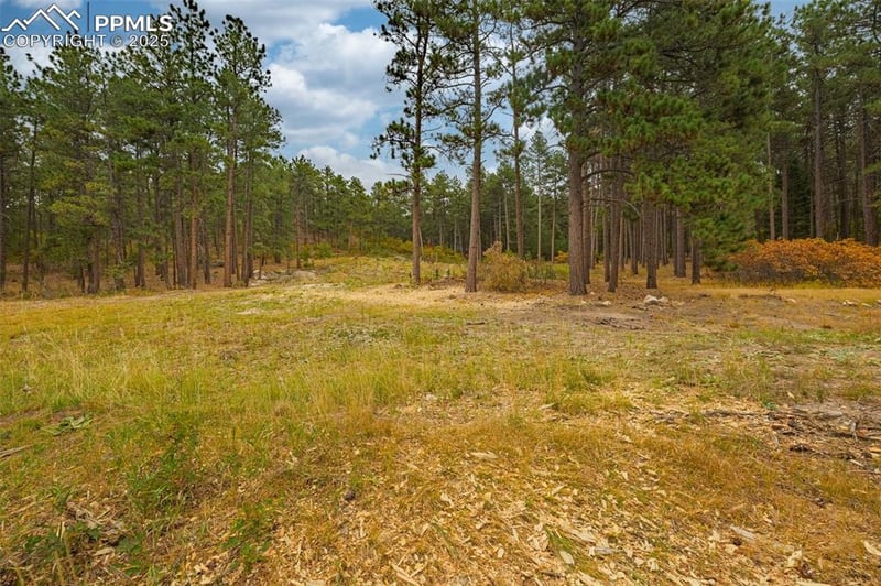 14420 Perry Park Rd, Larkspur, CO 80118