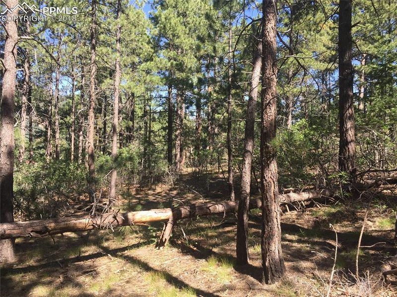 14421 Pine View Cir, Larkspur, CO 80118