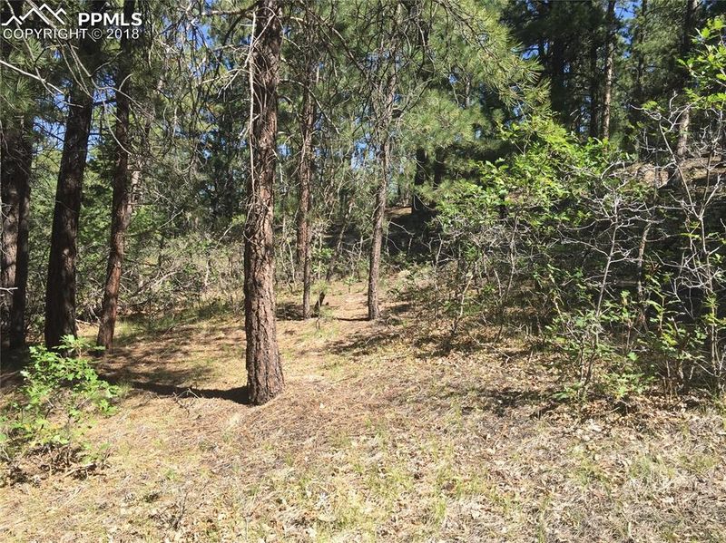 14421 Pine View Cir, Larkspur, CO 80118