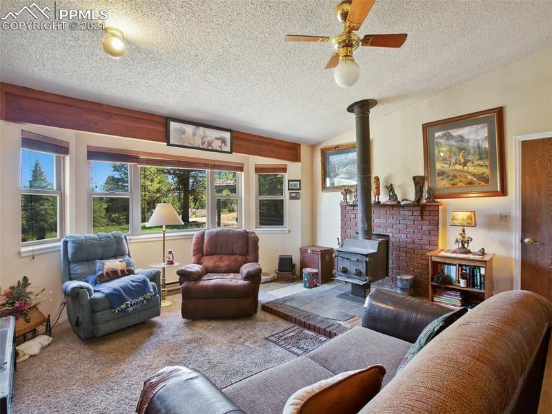 1443 County Road 512, Divide, CO 80814