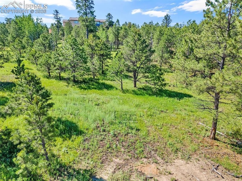 14431 Allen Ranch Rd, Colorado Springs, CO 80908