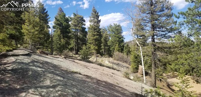 145 Spruce Rd, Colorado Springs, CO 80829