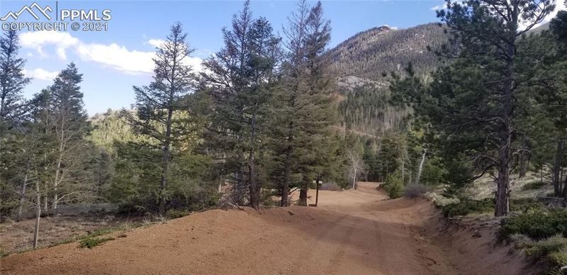 145 Spruce Rd, Colorado Springs, CO 80829