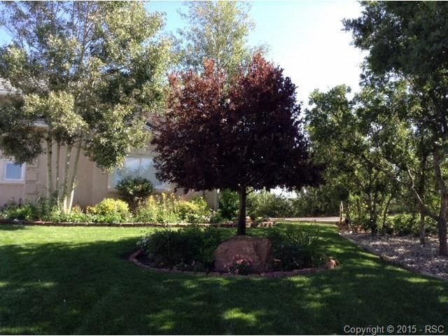 14530 River Oaks Dr, Colorado Springs, CO 80921