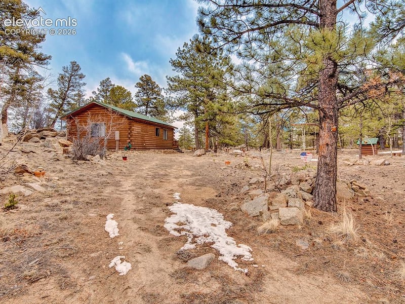 1462 Pulver Rd, Lake George, CO 80827