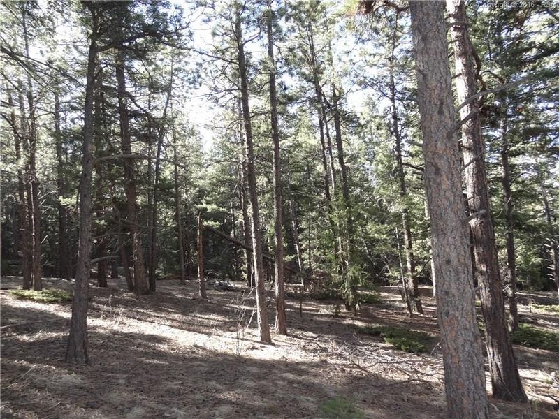 1465 Kings Crown Rd, Woodland Park, CO 80863