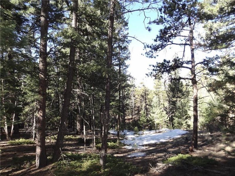 1465 Kings Crown Rd, Woodland Park, CO 80863
