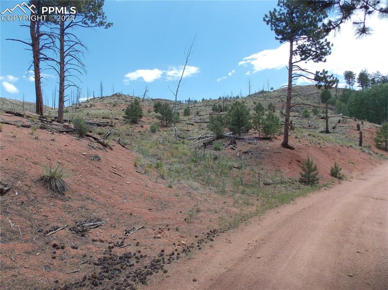 14691 Crooked Trail Rd, Woodland Park, CO 80863