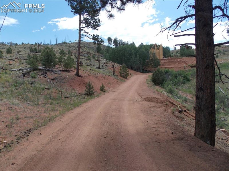14691 Crooked Trail Rd, Woodland Park, CO 80863