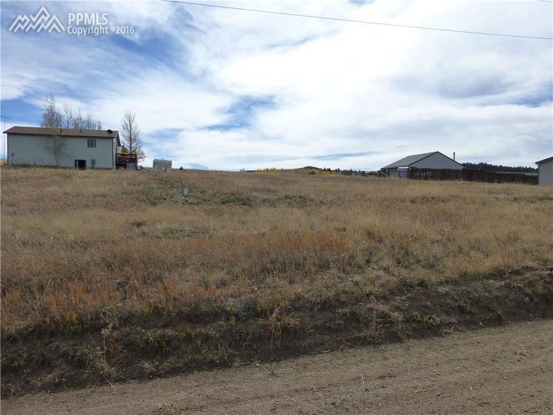 1486 Will Scarlet Dr, Divide, CO 80814