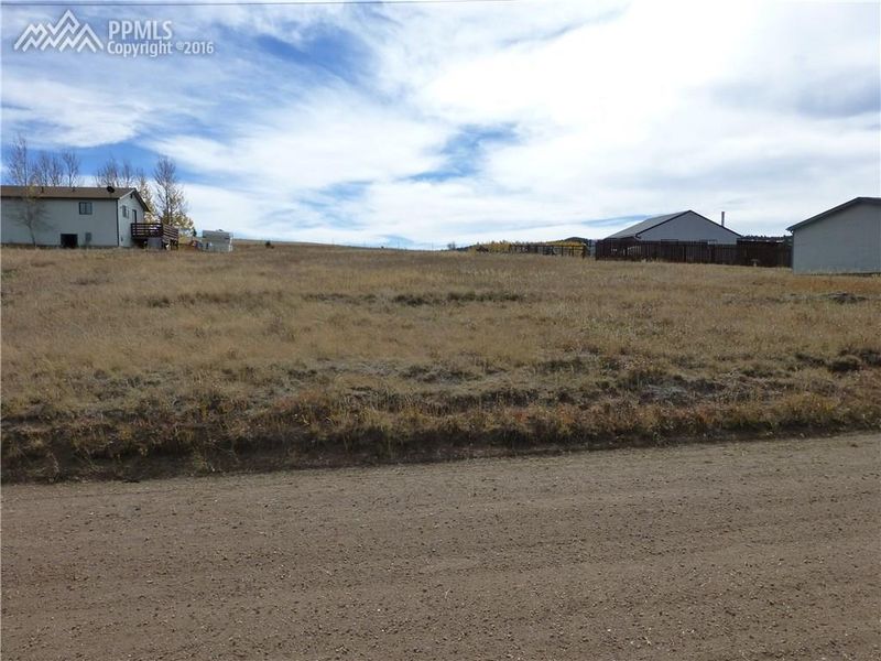 1486 Will Scarlet Dr, Divide, CO 80814