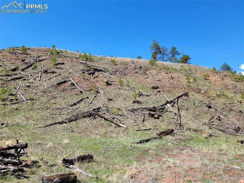 14860 Evergreen Pl, Woodland Park, CO 80863