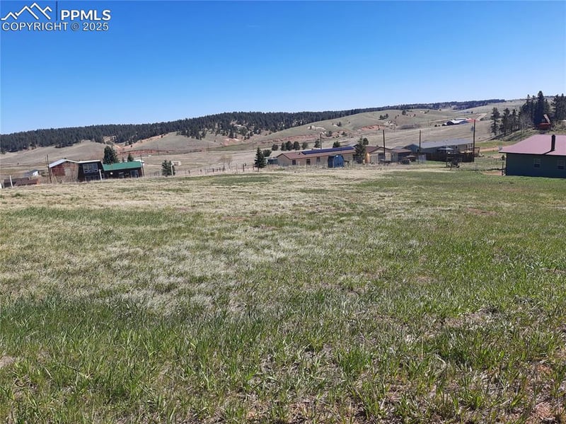 149 Will Scarlet Dr, Divide, CO 80814