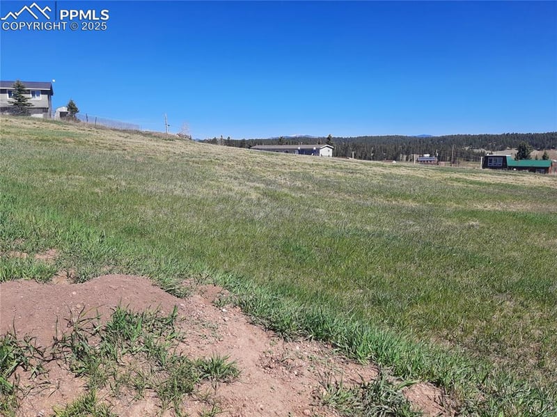 149 Will Scarlet Dr, Divide, CO 80814