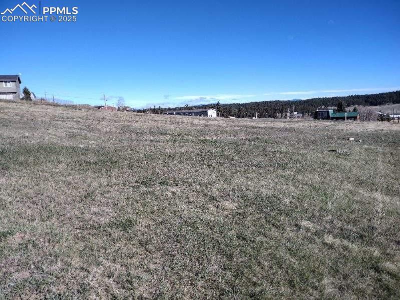 149 Will Scarlet Dr, Divide, CO 80814