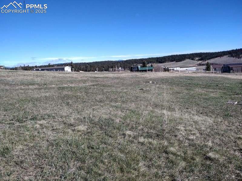 149 Will Scarlet Dr, Divide, CO 80814