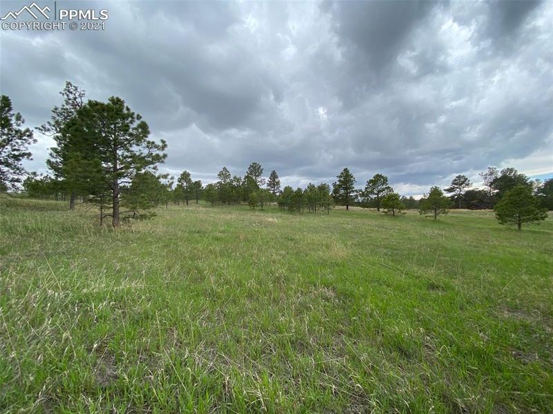 14910 E Coachman Dr, Colorado Springs, CO 80908