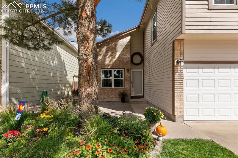 1492 4th St, Colorado Springs, CO 80907