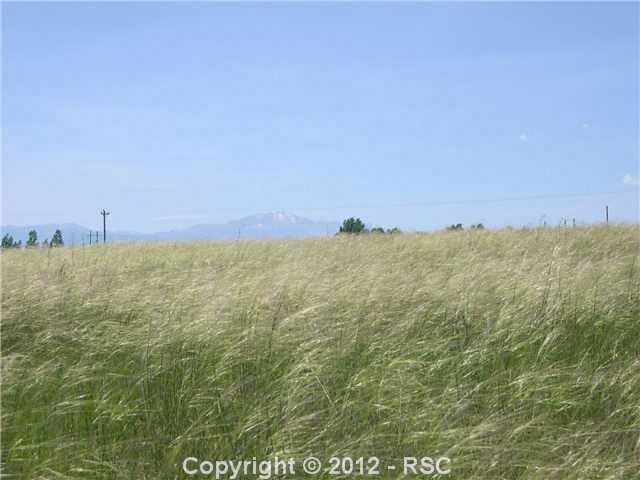 14970 Reiner Ct, Falcon, CO 80831
