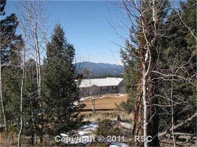 15 Dusti Cir, Divide, CO 80814