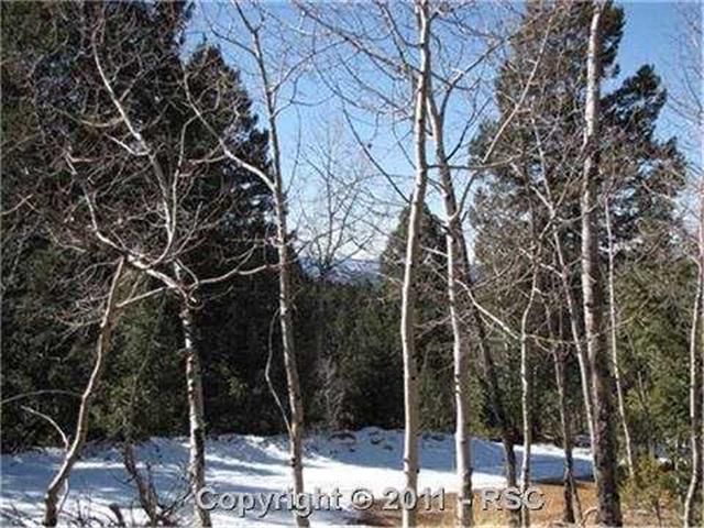 15 Dusti Cir, Divide, CO 80814