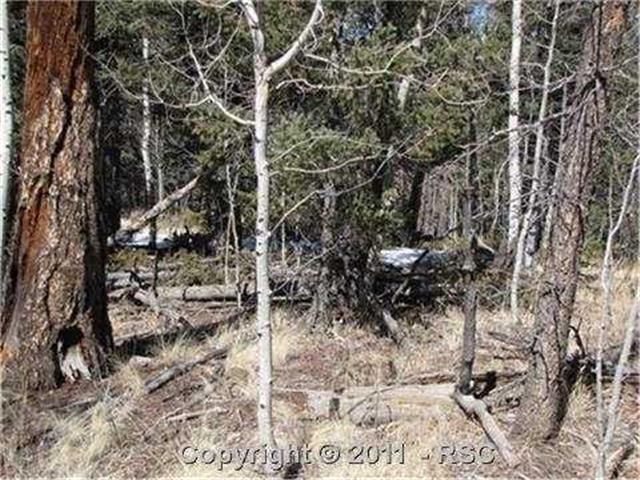 15 Dusti Cir, Divide, CO 80814