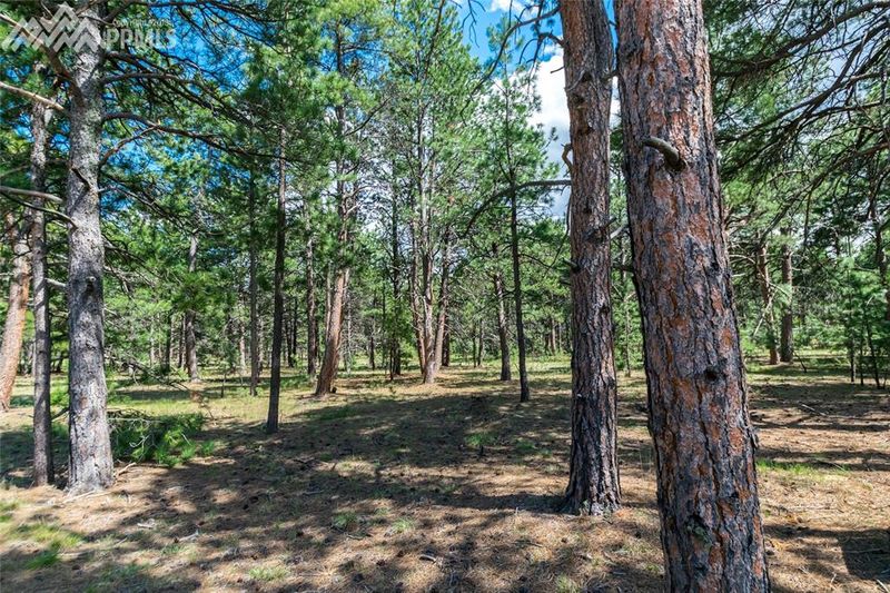 1505 Trumpeters Ct, Monument, CO 80132