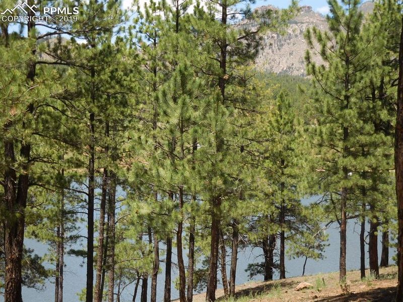 15084 Pine Lake Dr, Sedalia, CO 80135