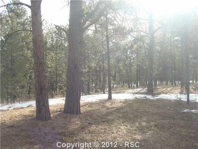 15084 Pole Pine Point, Colorado Springs, CO 80908