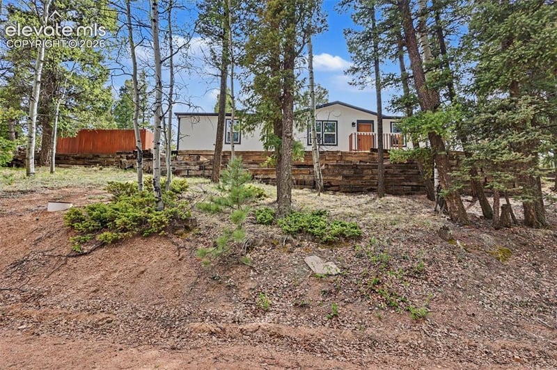 151 Banner Trl, Florissant, CO 80816