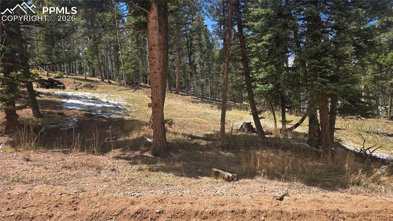 151 Mt Elbert Rd, Florissant, CO 80816