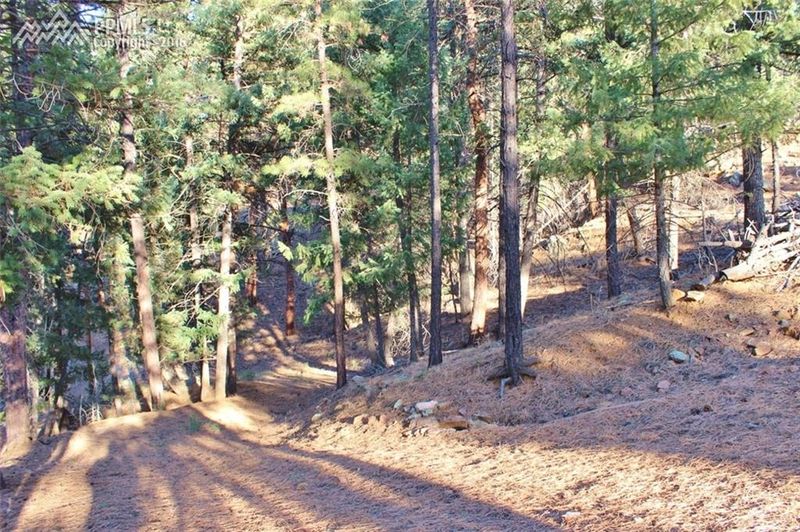 15126 Pine Lake Pl, Sedalia, CO 80135