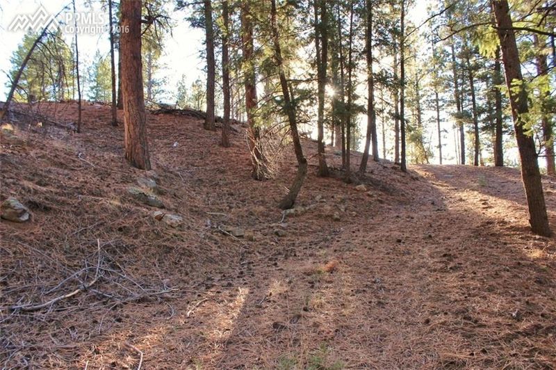 15126 Pine Lake Pl, Sedalia, CO 80135