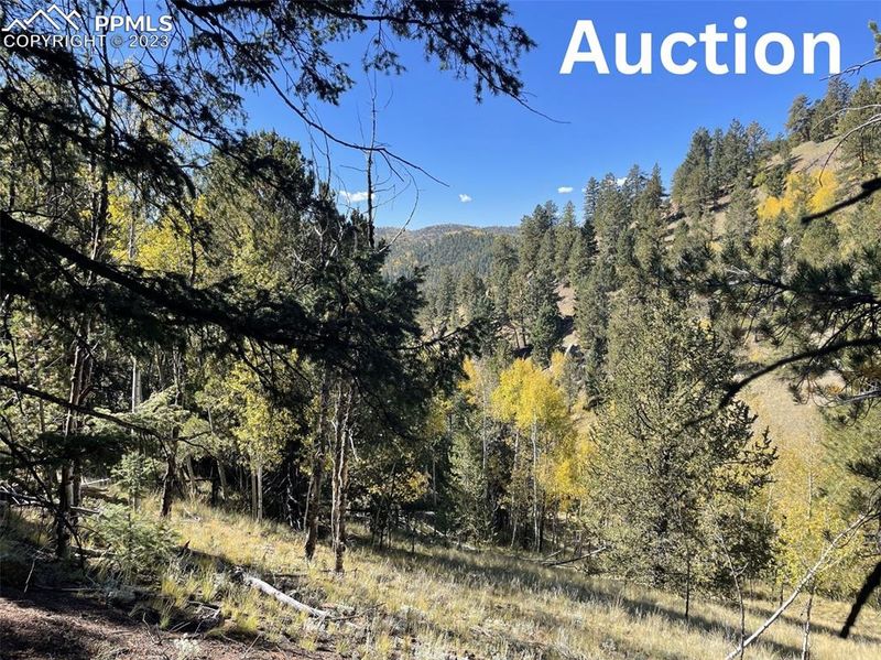 1520-156 Pikes Peak Dr, Divide, CO 80814